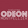  eTicket Théâtre Odéon - Catégorie 1 - Valable jusqu'au 10 Avril 2026