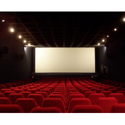 7,80€ Ticket cinéma ciné Paradis