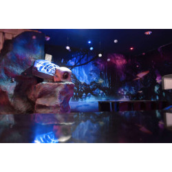 7,50€ ticket Laser Game Toulon LaserStar 83